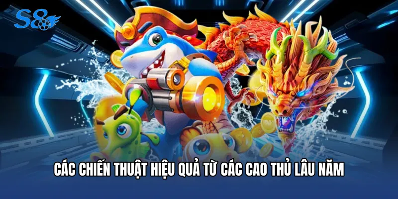 Các chiến thuật hiệu quả từ các cao thủ lâu năm