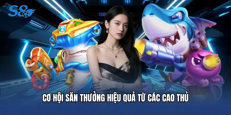 Cơ hội săn thưởng hiệu quả từ các cao thủ