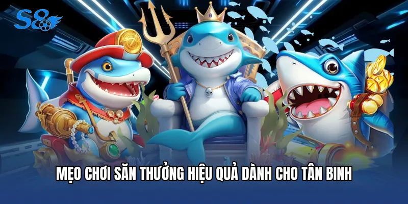 Bắn Cá S8 Mẹo chơi săn thưởng hiệu quả dành cho tân binh