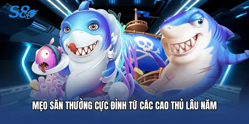 Mẹo săn thưởng cực đỉnh từ các cao thủ lâu năm