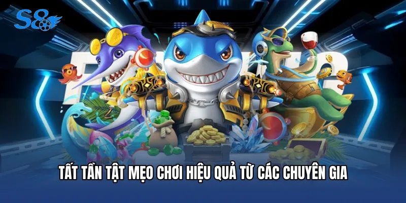 Tất tần tật mẹo chơi hiệu quả từ các chuyên gia