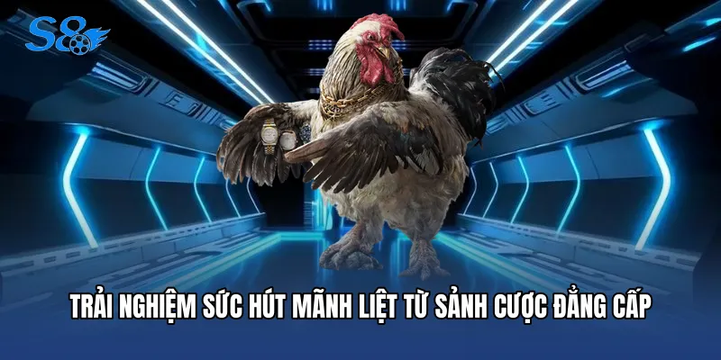 Trải nghiệm sức hút mãnh liệt từ sảnh cược đẳng cấp